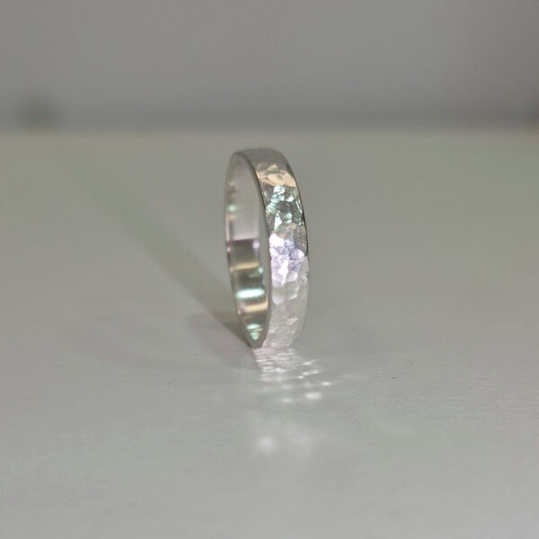 Anillo Riela - Imagen 2