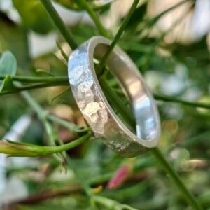 Anillo Riela