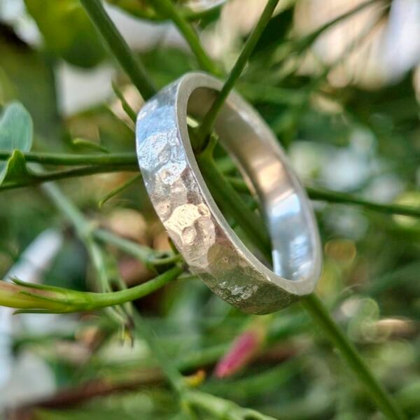 Anillo Riela